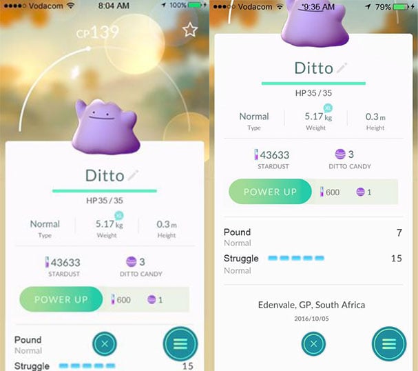Ditto Chart