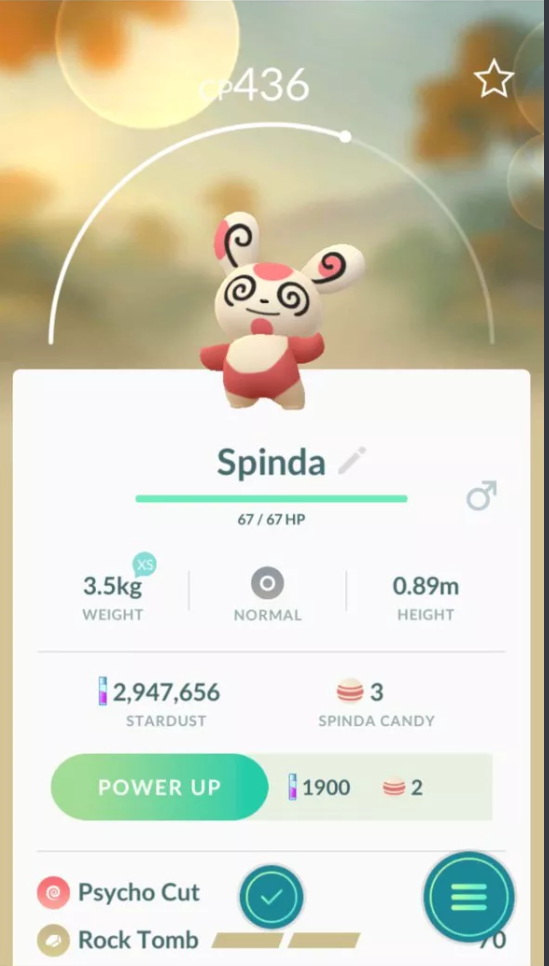 Raikou Field Research Brings Spinda and Shinies!