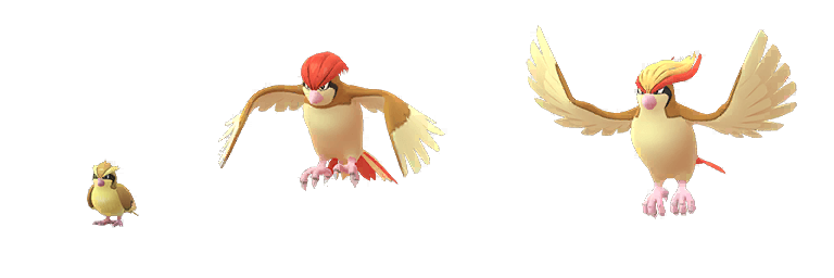 Normal Pidgey, Pidgeot and Pidgeotto