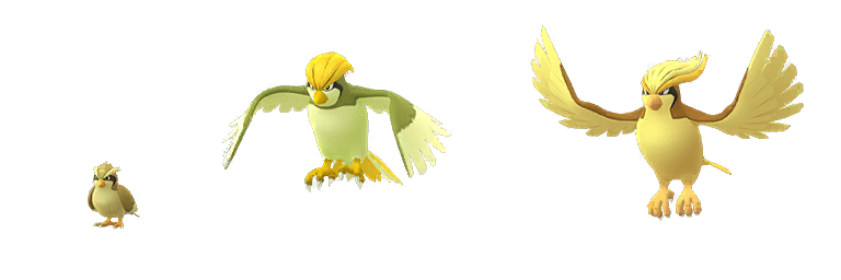 Shiny Pidgey, Pidgeot and Pidgeotto