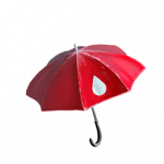 Pokémon GO Weather Rainy Day