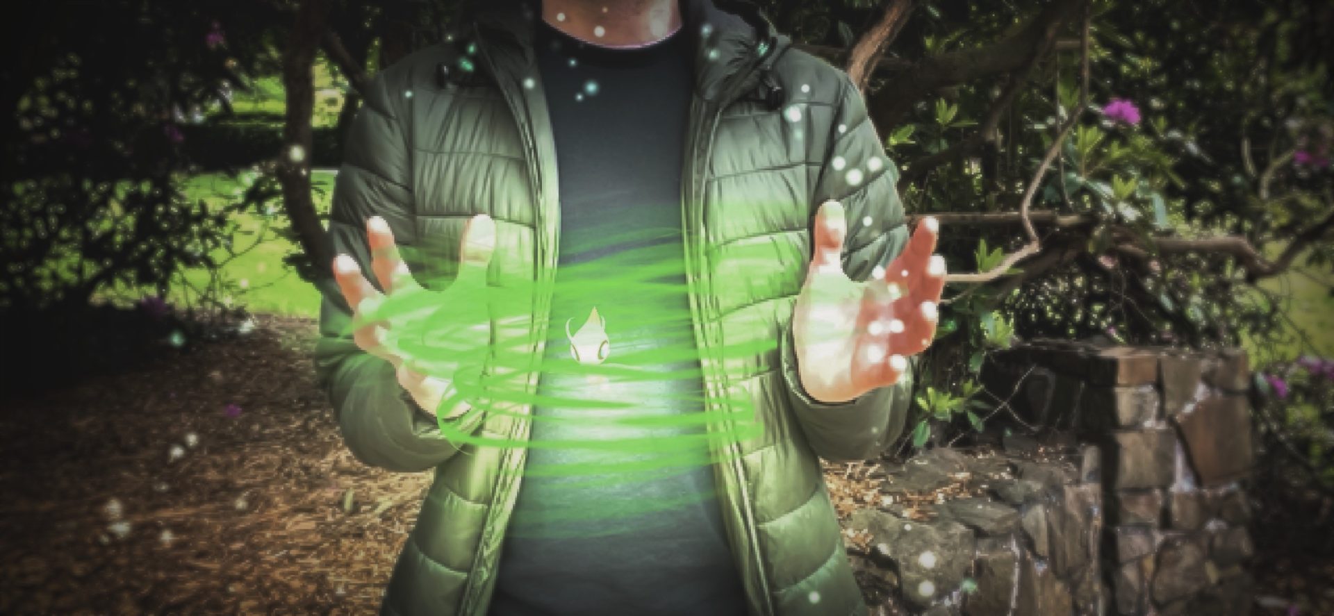 AR+ Mode vs GO Snapshot Mode vs Buddy Mode Pokémon GO Hub