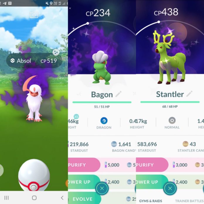 New Shiny Shadow Pokémon: Absol, Stantler and Bagon