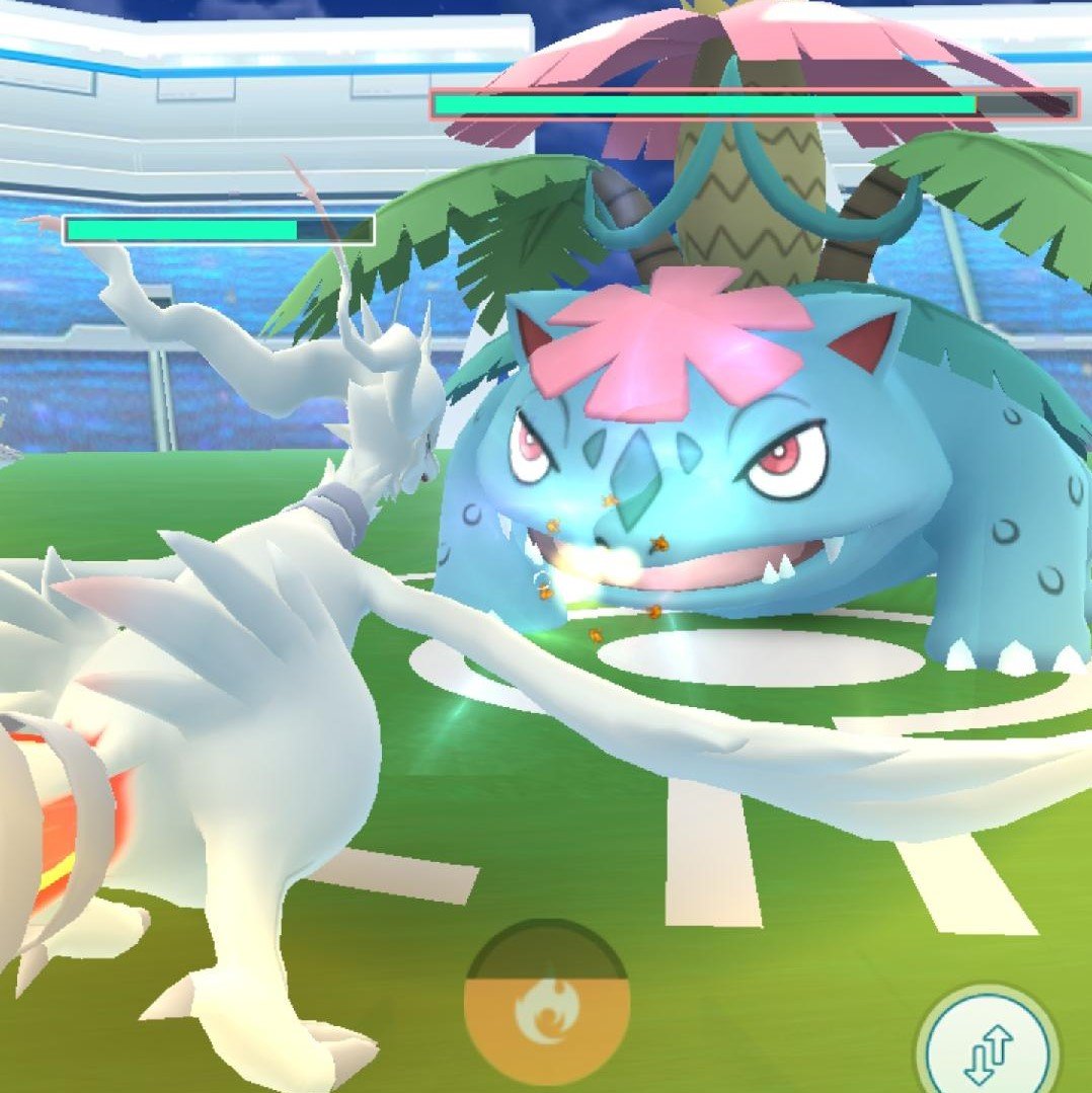 Let's Talk About Mega Pokémon | Pokémon GO Hub