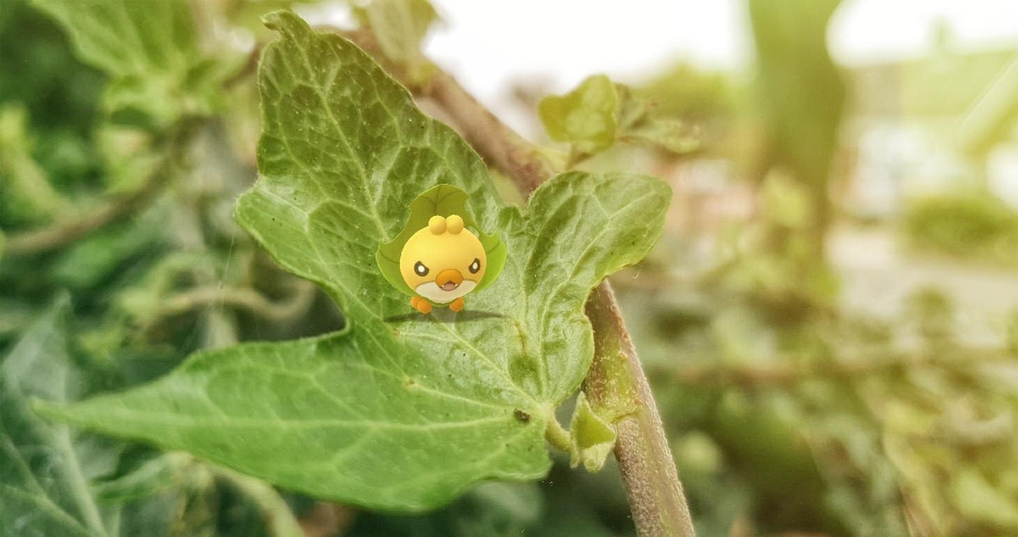 Slugma Wailmer Fomantis, Pokémon GO Element Cup