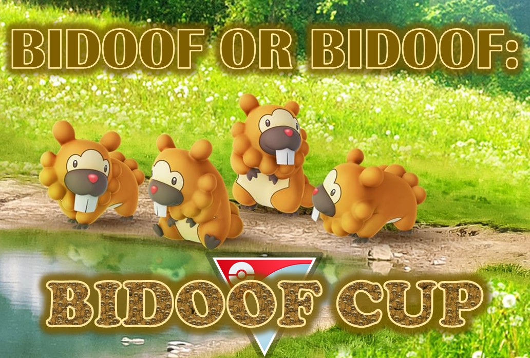 BidoofCup