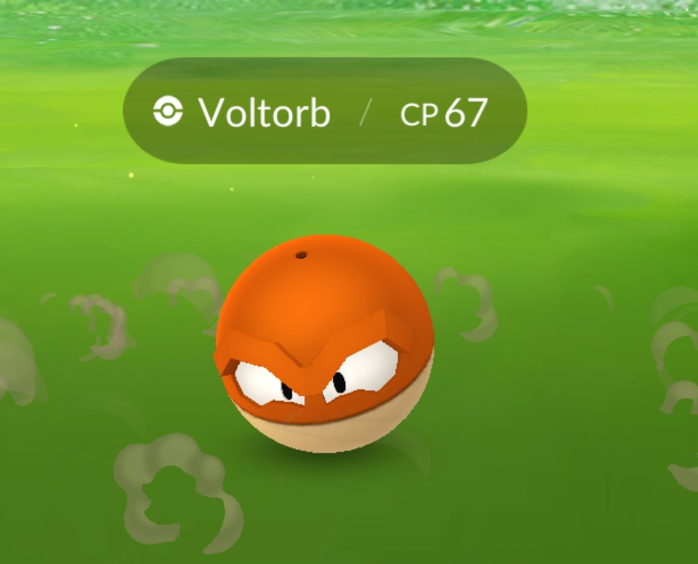 Hisiuan Voltorb Appearing in the Wild - Leek Duck