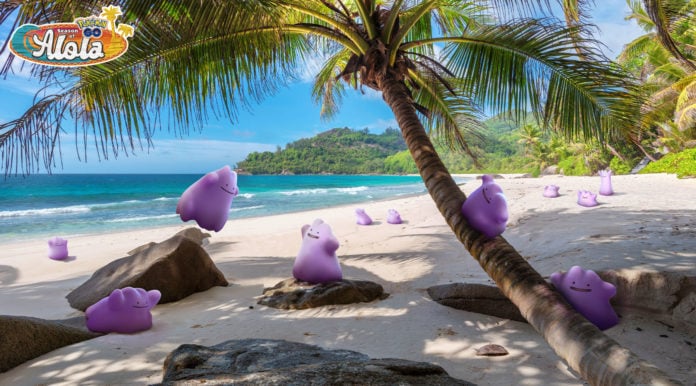 Ditto Ditto Ditto on the beach