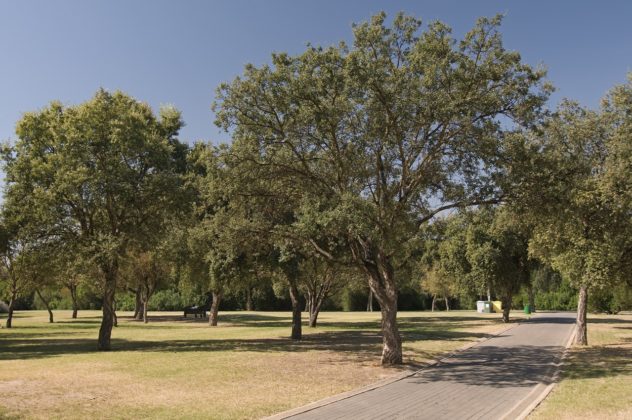 Alamillo Park, Sevilla, Spain