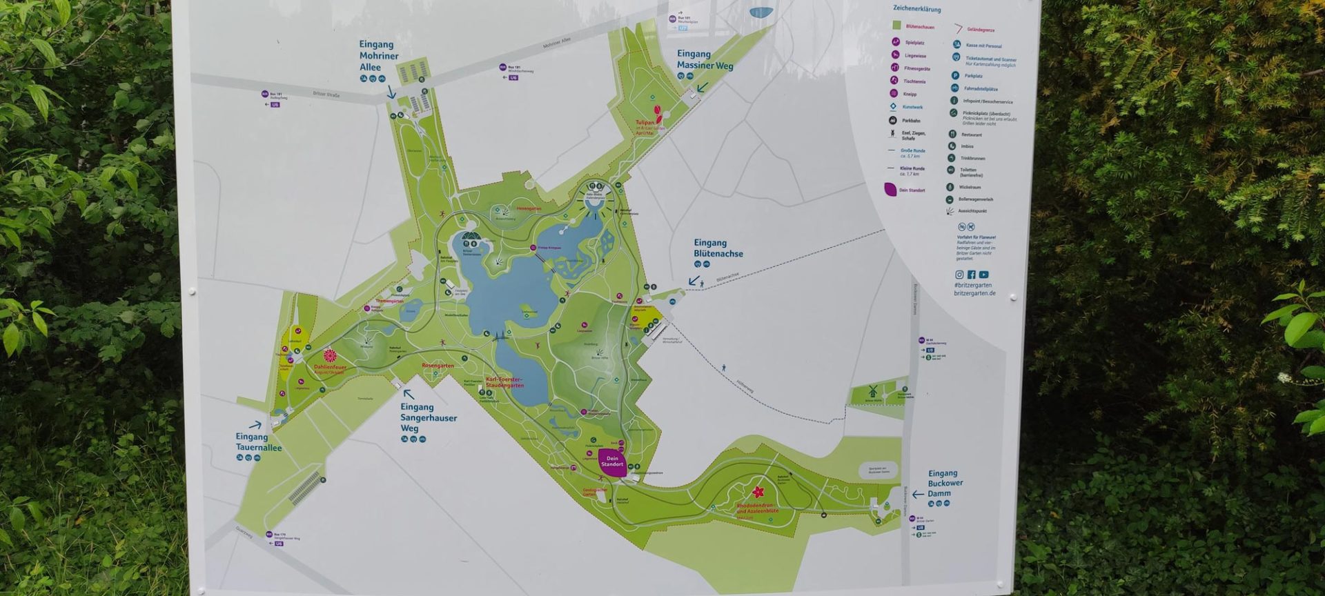 How to Pokémon GO Fest 2022 in the Britzer Garten, Berlin Pokémon GO Hub