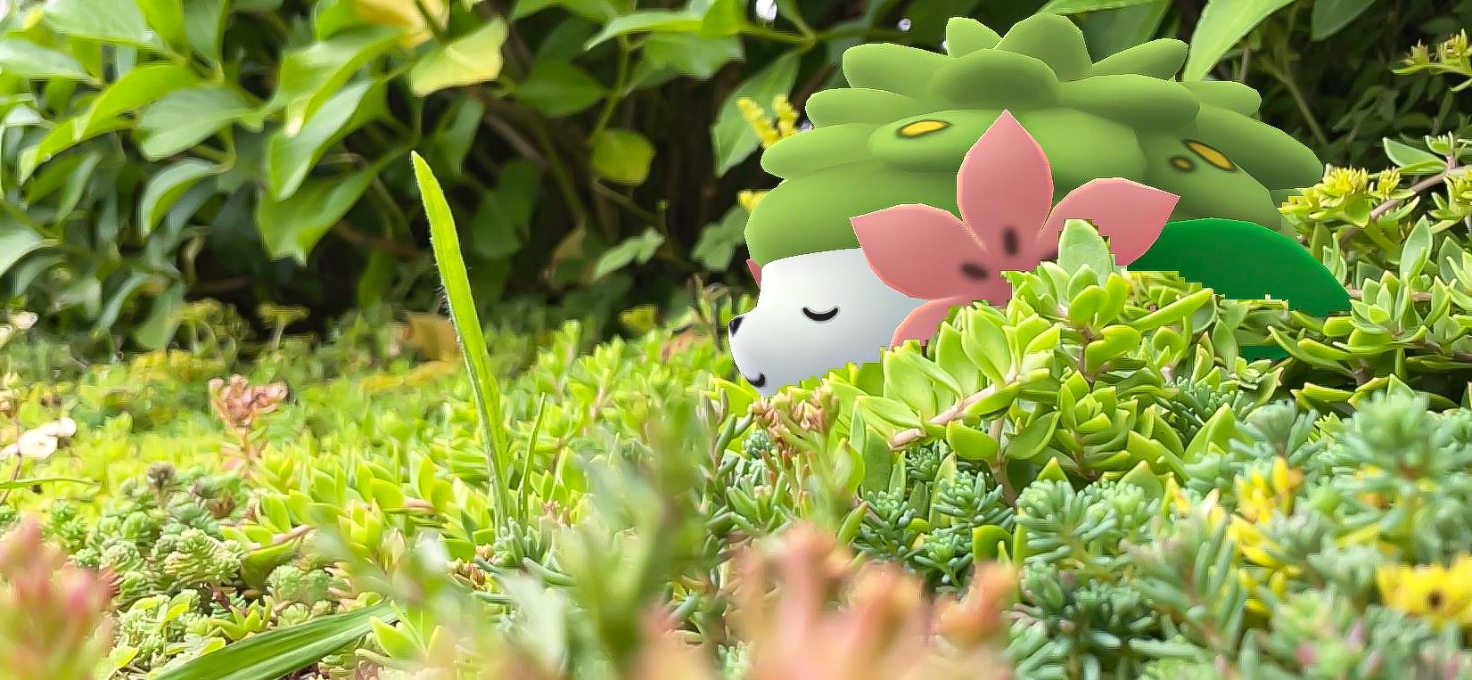 Exploring Pokemon GO community's fascination with Kecleon after