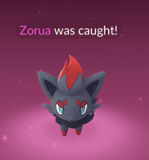 Lifting&Zombies on X: I think we can all agree that the best part about  Zorua's release is seeing shiny locked Pokémon in the wild!! #PokemonGO   / X