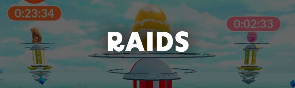 Raids