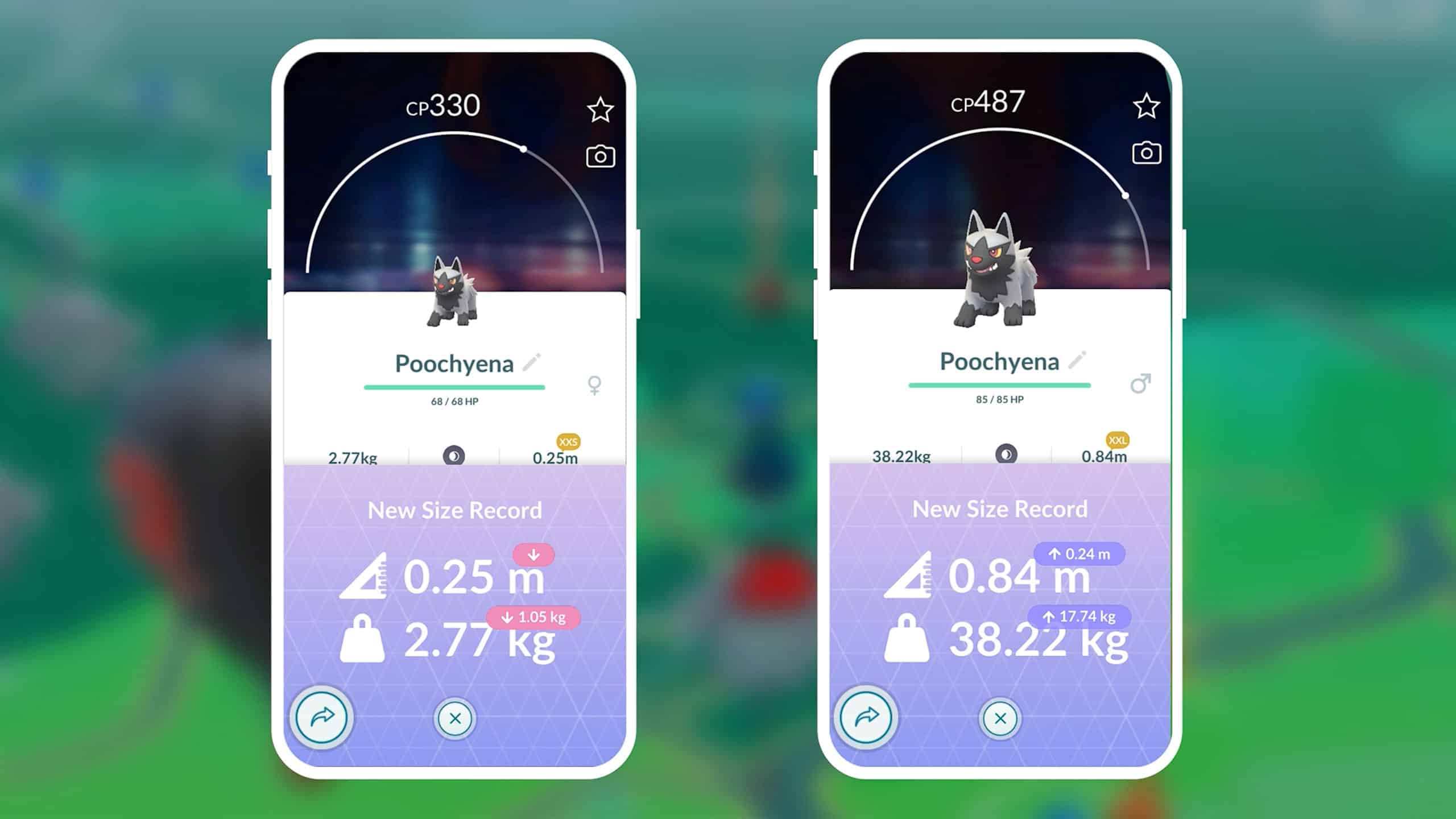 Pokémon Go Trade Rare XXS - XXL (Showcase)