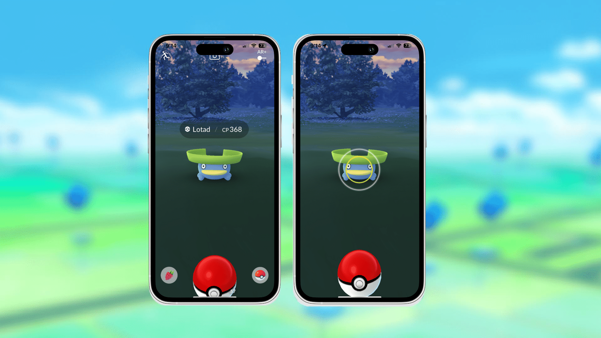 Whats with in the catch screen pokemons type being a different color? :  r/pokemongo