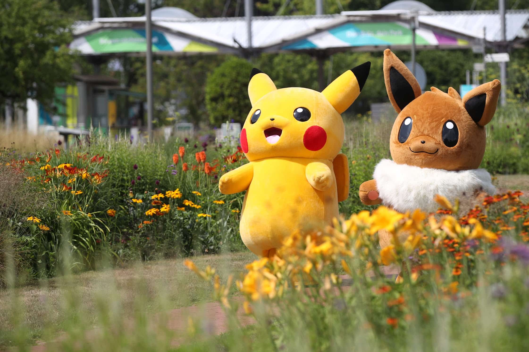 Niantic releases schedule of Pokémon GO events in August, in what's sure to  be a packed month with both Pokémon World Champs and Pokémon GO Fest 2023 :  Bulbagarden