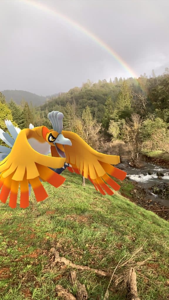 Shiny Ho-Oh Heats Up November in Pokémon Duel