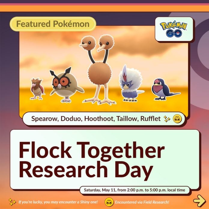 flock together research day