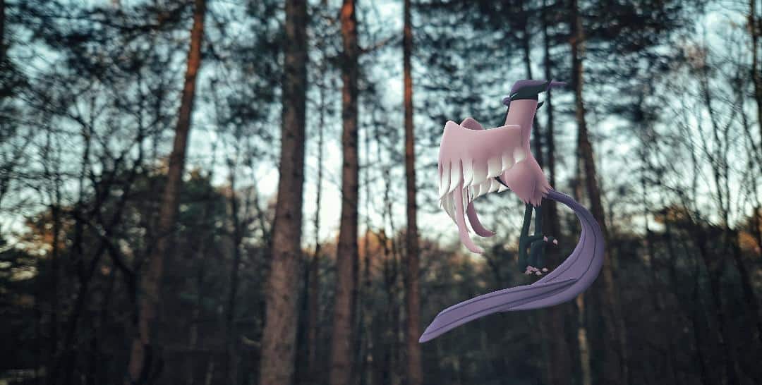 A Galarian Articuno is on the right side of the photograph, looking to the left. Their wings are folded across in front of their body, and their tail swirls below them. Behind them is a wooded area, the sky is clear and the sun is starting to set