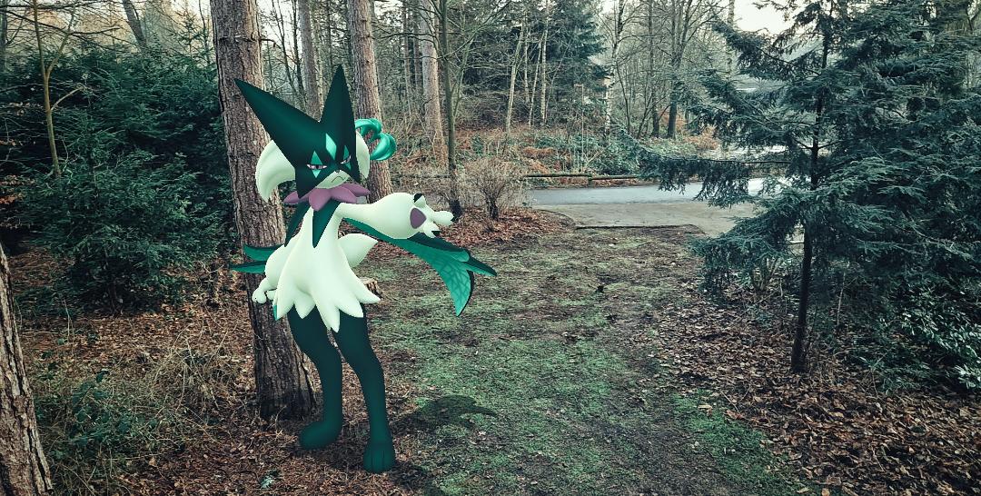 A huge shiny Meowscarada is pictured in some woodland, with a footpath in the background and a small pond. It is stood in front of a large tree and is bigger than a Meowscarada usually would be. It is positioned to the left of centre, and is pointing its left paw across to the front right of the image