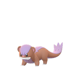 Shiny Yungoos - brown fur with a pink stripe