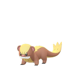 Regular Yungoos. Brown fur with a light yellow stripe
