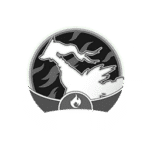 go tour unova medal white