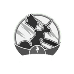 go tour unova medal black