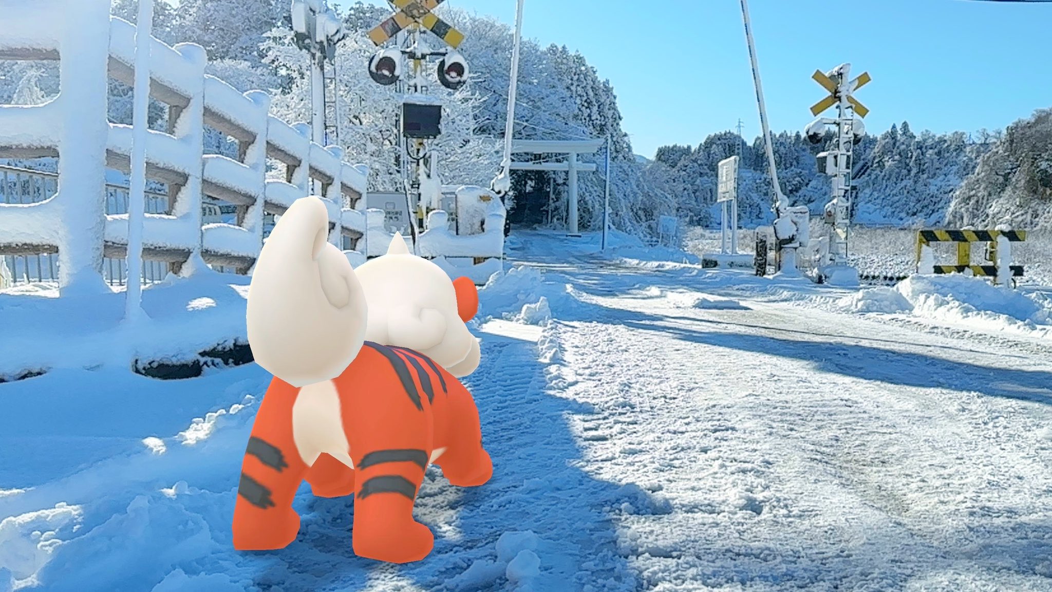 A Hisuian Growlithe stands with their back to the camera in front of a Torii, a traditional Japanese gate typically found at a Shiinto shrine, in the snow