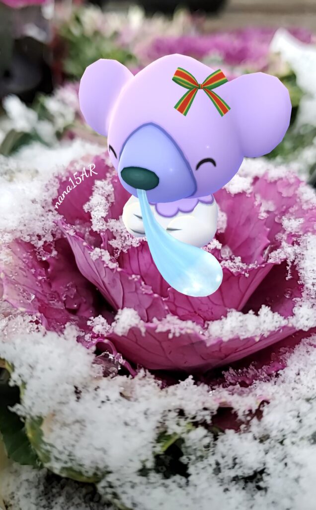 A shiny Cubchoo with a ribbon hides inside a frosty snow covered flower