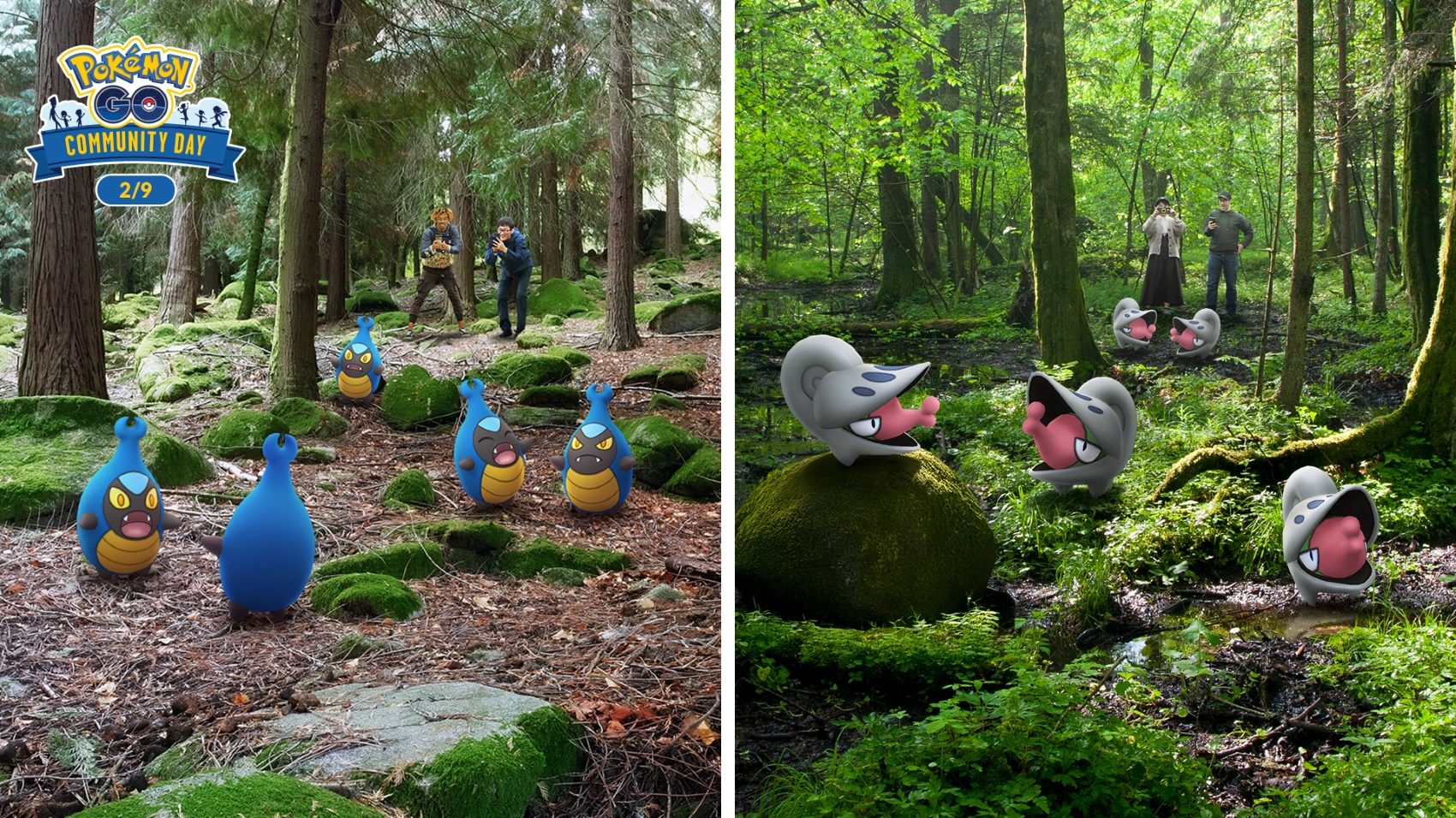 Two photos are side by side with a white line down the middle separating them. On the left, Karrablast play in a forest in autumn, with rocks covered in moss around them. Behind them 2 Pokémon trainers are attempting to catch them. In the top left corner is a logo reading Pokémon GO Community Day 2/9. On the right Shelmet are gathered in a summery forest that is lush and green, behind them two Pokémon trainers are observing them,