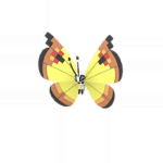 Shiny Continental Vivillon Pokémon GO Sprite