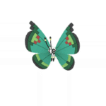Shiny Garden Vivillon Pokémon GO Sprite