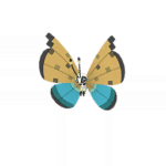 Shiny River Vivillon Pokémon GO Sprite