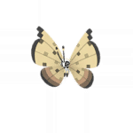 Shiny Sandstorm Vivillon Pokémon GO Sprite