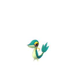 Shiny Snivy: A small, teal-colored, snake-like Pokémon with yellow markings and a blue leaf-like tail. It has a confident expression and stands on its short legs.