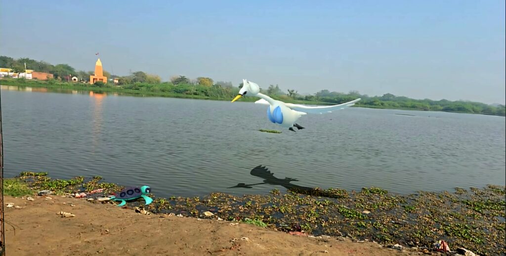 A Swanna and a shiny tirouga by a lake