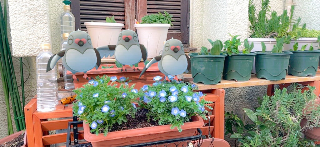 three pidove on a planter