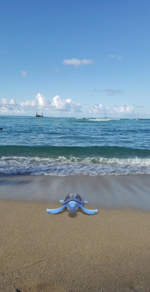 Tirtouga emerging from the ocean on the beach