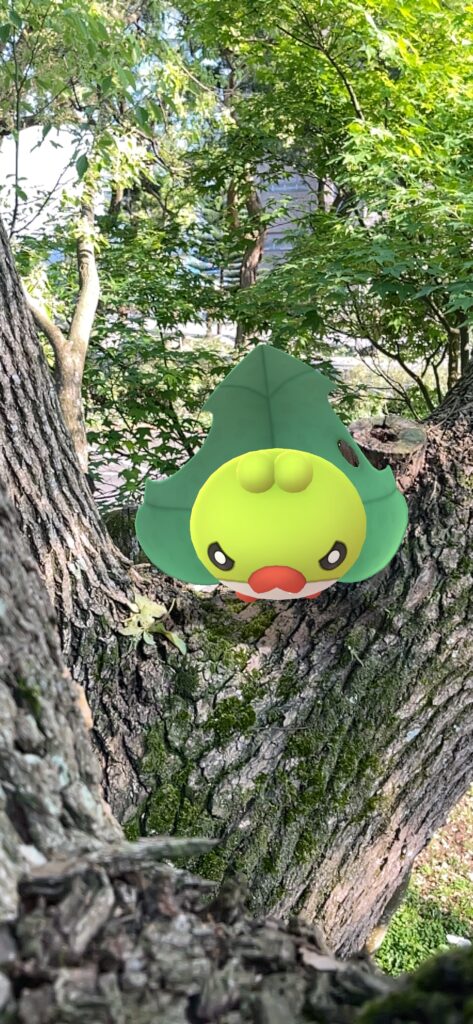 A shiny sewaddle in a tree