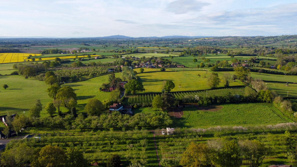 a view of dragon orchard