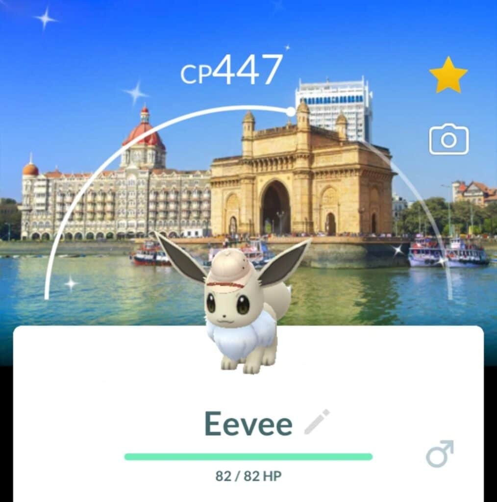 shiny explorer hat eevee with city safari mumbai background