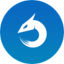 Dragon type icon