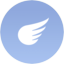 Flying type icon