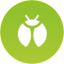 Bug type icon