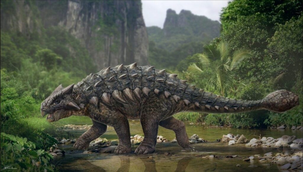 an ankylosaurus