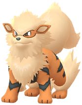 A majestic, large canine Pokémon with flowing orange fur, black stripes, and a voluminous cream mane and tail.