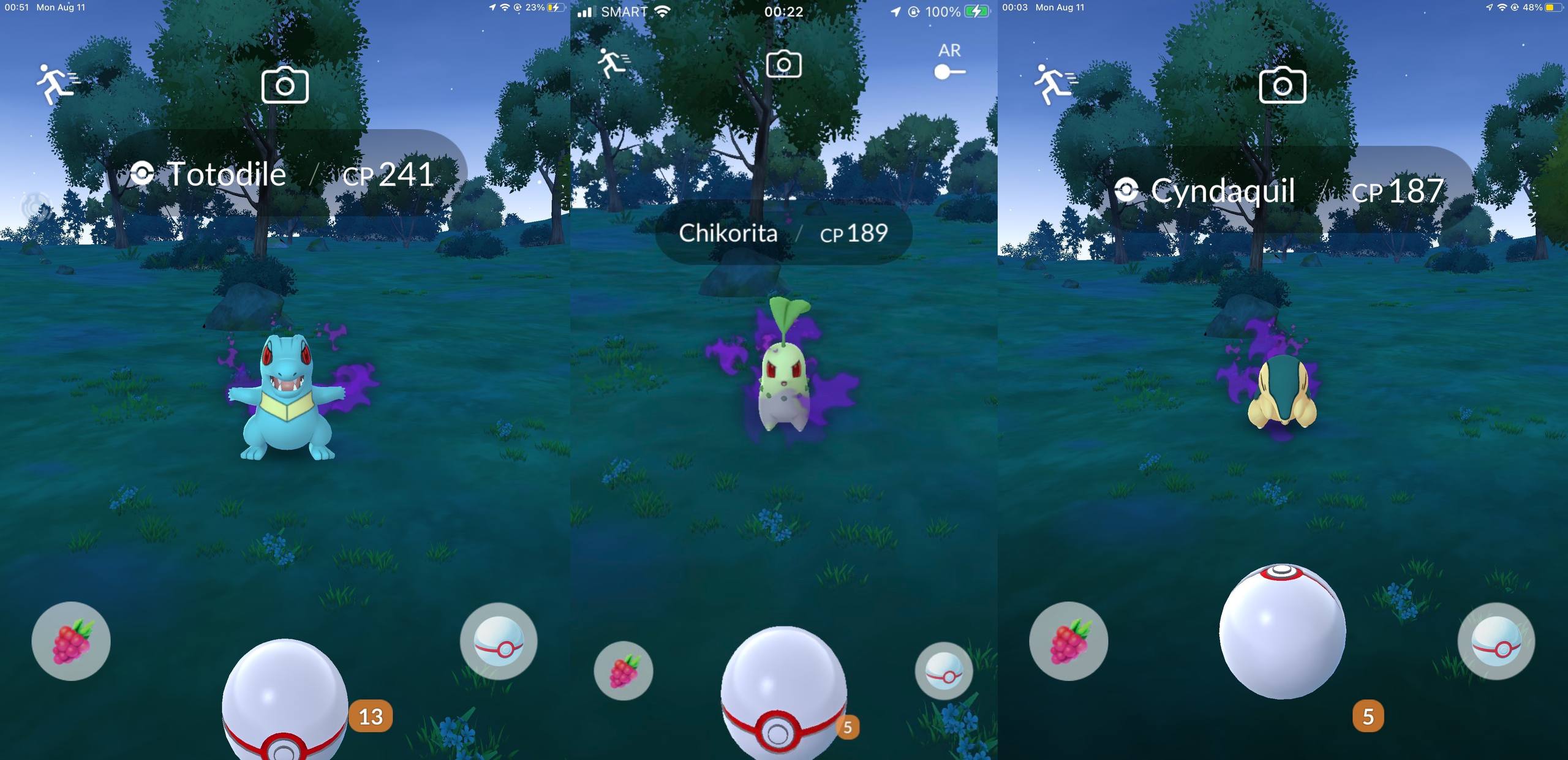 shadow totodile, shadow chikorita, shadow cyndaquil