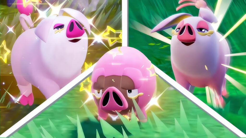 shiny OINKOLOGNE